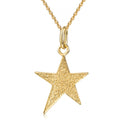 Collier Polarstern mit Diamant Glitzer Silber 925/000 10 Milliemes vergoldet