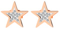Ohrstecker Stern