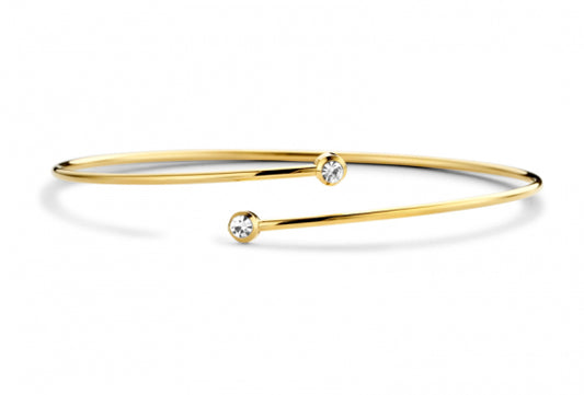 Lovebird Armreif mit Kristall Edelstahl IPG